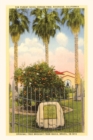 Image for The Vintage Journal Parent Orange Tree, Riverside, California