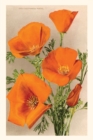 Image for The Vintage Journal California Poppies
