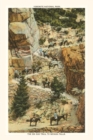 Image for The Vintage Journal Trail to Nevada Falls, Yosemite, California