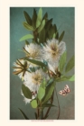 Image for The Vintage Journal Eucalyptus Blossoms