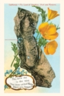 Image for The Vintage Journal This little Dot, Map of California, Poppies
