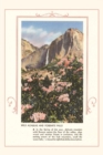 Image for The Vintage Journal Wild Azaleas at Yosemite