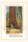 Image for The Vintage Journal Wawona, Mariposa Big Tree Grove