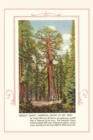 Image for The Vintage Journal Grizzly giant, Mariposa Big Trees