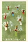 Image for The Vintage Journal Colorful Surfers and Surf Boards in Green Water, Carpinteria