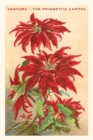 Image for The Vintage Journal Ventura, The Poinsettia Capital