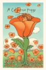 Image for The Vintage Journal Illustration of California Poppy Person