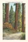 Image for The Vintage Journal Sequoia National Park
