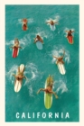 Image for The Vintage Journal Aerial View of Surfers with Colorful Boards, California