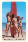 Image for The Vintage Journal Sixties Surfer Girls, Morro Bay, California