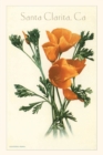 Image for The Vintage Journal California Poppy, Santa Clarita