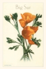 Image for The Vintage Journal California Poppy, Big Sur