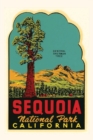 Image for Vintage Journal Sequoia National Park Decal