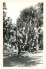 Image for Vintage Journal Spineless Cactus, Burbank Garden