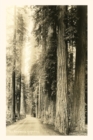 Image for Vintage Journal The Redwood Highway