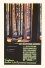 Image for Vintage Journal Travel Poster for Redwood Empire