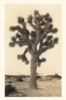 Image for Vintage Journal Joshua Tree