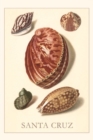 Image for Vintage Journal Santa Cruz Shells