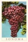 Image for Vintage Journal Sonoma Grapes