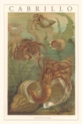 Image for Vintage Journal Cabrillo, Hermit Crabs
