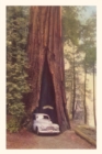 Image for Vintage Journal Redwood and Old Car