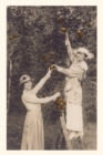 Image for Vintage Journal Women Picking Oranges