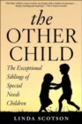 Image for The other child  : the exceptional siblings of special needs children