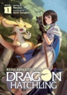 Image for Reincarnated as a Dragon Hatchling (Light Novel) Vol. 1