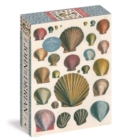 Image for John Derian Paper Goods: Shells 1,000-Piece Puzzle