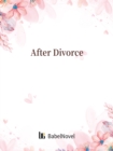 Image for After Divorce