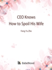 Image for CEO Knows How to Spoil His Wife