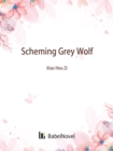 Image for Scheming Grey Wolf