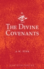 Image for The Divine Covenants