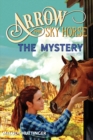 Image for Arrow the Sky Horse : The Mystery