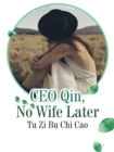 Image for CEO Qin, No Wife Later