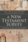 Image for A New Testament Survey