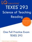 Image for TExES 293