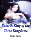 Image for Rebirth: King of the Three Kingdoms