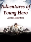 Image for Adventures of Young Hero