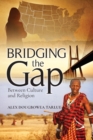 Image for Bridging the Gap