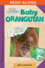 Image for Baby Orangutan