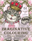 Image for Imaginative Colouring