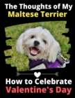 Image for The Thoughts of My Maltese Terrier : How to Celebrate Valentine&#39;s Day