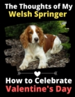 Image for The Thoughts of My Welsh Springer