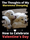 Image for The Thoughts of My Maremma Sheepdog : How to Celebrate Valentine&#39;s Day