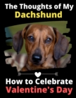 Image for The Thoughts of My Dachshund : How to Celebrate Valentine&#39;s Day