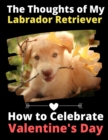 Image for The Thoughts of My Labrador Retriever : How to Celebrate Valentine&#39;s Day