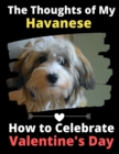 Image for The Thoughts of My Havanese : How to Celebrate Valentine&#39;s Day