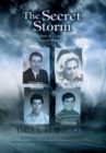 Image for The Secret Storm