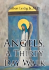Image for Angels, A Thirty Day Walk